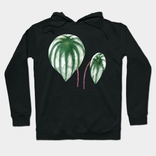 Peperomia Argyreia Watermelon Hoodie